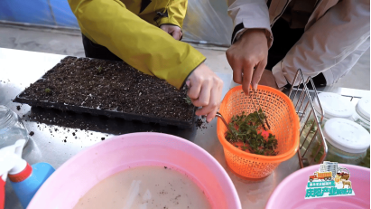 一颗庆阳苹果的旅程:窥见中国农业的现代化答卷 一颗庆阳苹果的旅程:窥见中国农业的现代化答卷