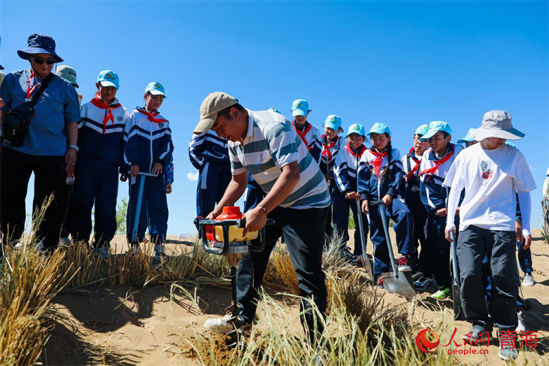 在治沙技术人员带领下，各阶段学生深入治沙点实地观察草方格固沙与植被恢复工程。人民网 顾斐菲摄