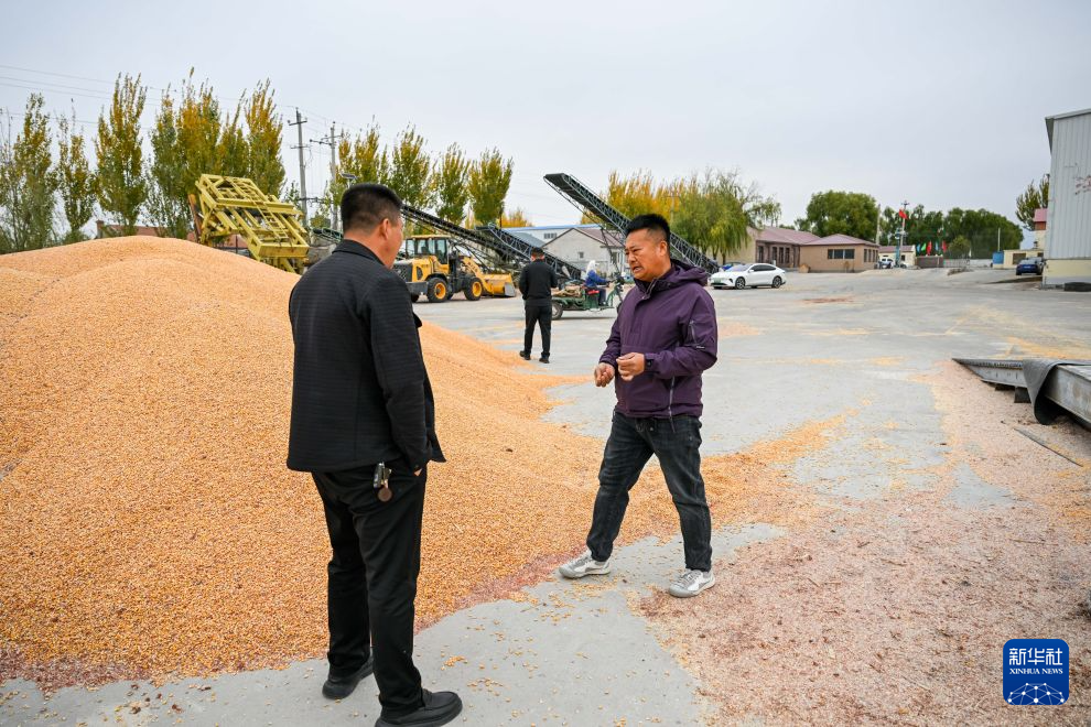 内蒙古通辽:党支部领办合作社带动增产增收